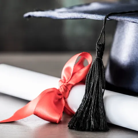 Banner AHS_website.png
