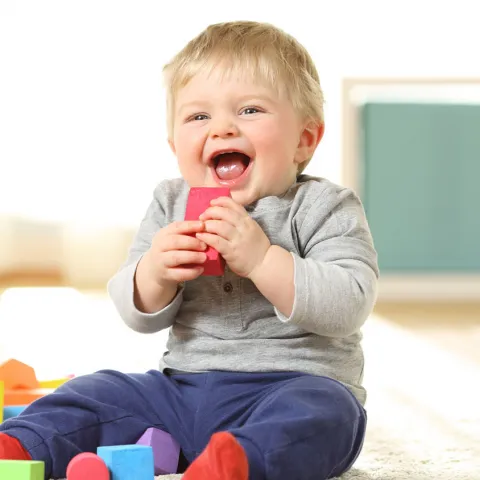 Banner ECE_website_6.jpg