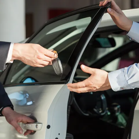 Banner auto_dealers_license_renewal_website.png